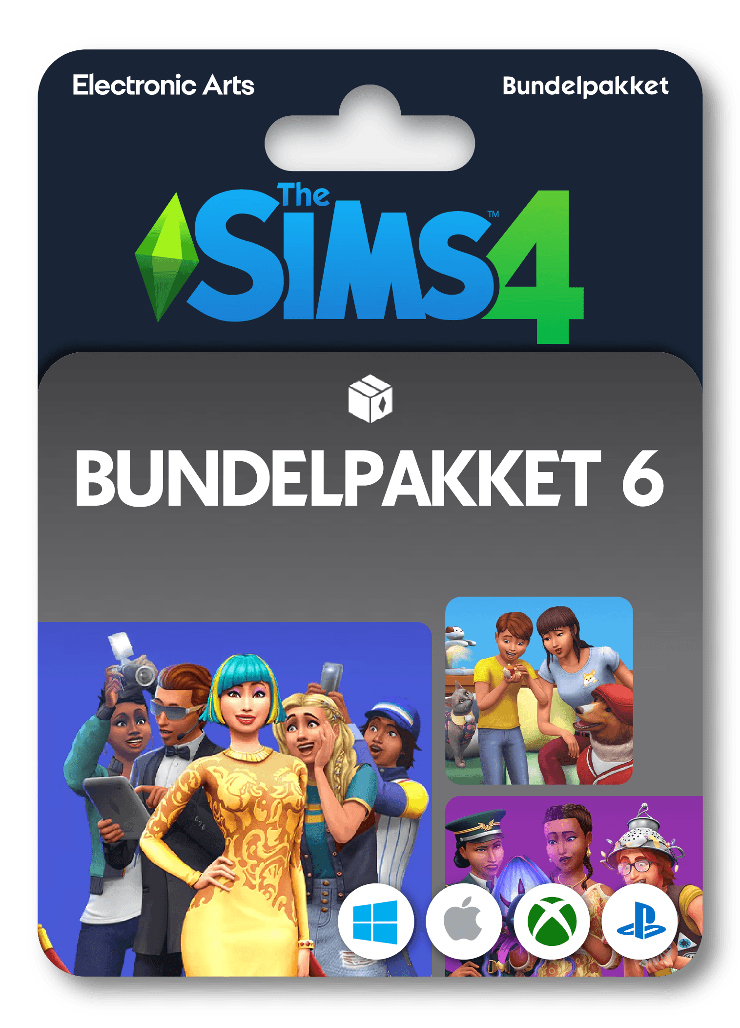 De Sims 4: Bundelpakket 6